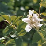 Klikni pro v�t�� obr�zek