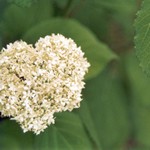 Klikni pro v�t�� obr�zek