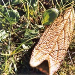 Klikni pro v�t�� obr�zek