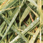 Klikni pro v�t�� obr�zek