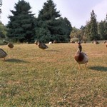 Klikni pro v�t�� obr�zek