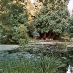 Klikni pro v�t�� obr�zek