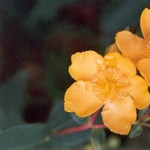 Klikni pro v�t�� obr�zek